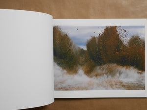 A Bird, Blast #130 | Naoya Hatakeyama | Roshin books 2025 [SIGNED]