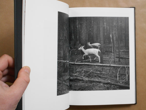 Vanishing | Anna Arendt | Charcoal Press 2025 [SIGNED]