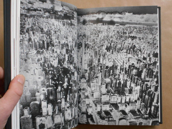 Vanishing | Anna Arendt | Charcoal Press 2025 [SIGNED]