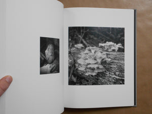 The Seraphim | Jesse Lenz | Charcoal Press 2023 [SIGNED]