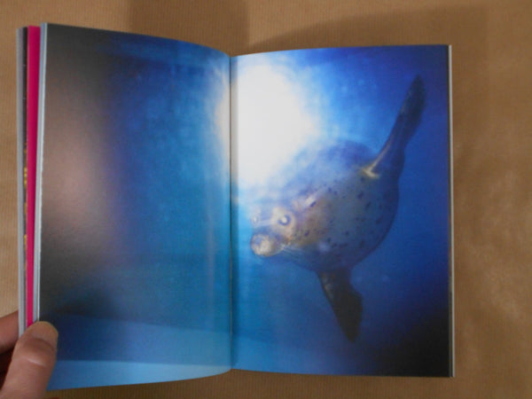 The Beam | Minami Sakamoto | INDIGO CO. LTD. 2025