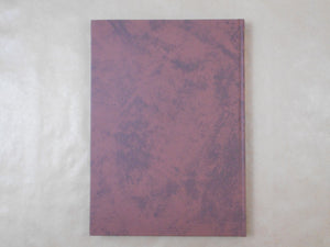 Burt Bunger GB, Galphy series n. 17 | Burt Bunger | NGS 1984