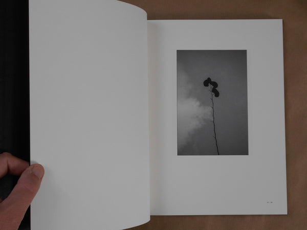 The meeting of two eyes | Kazumasa Harada | Yamada Book Publishing 2026
