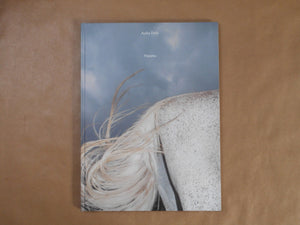 Pneuma | Ayaka Endo | Roshin books 2026