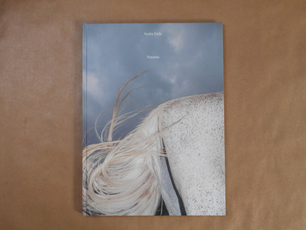 Pneuma | Ayaka Endo | Roshin books 2026