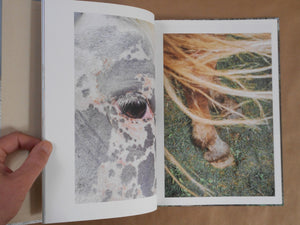 Pneuma | Ayaka Endo | Roshin books 2026