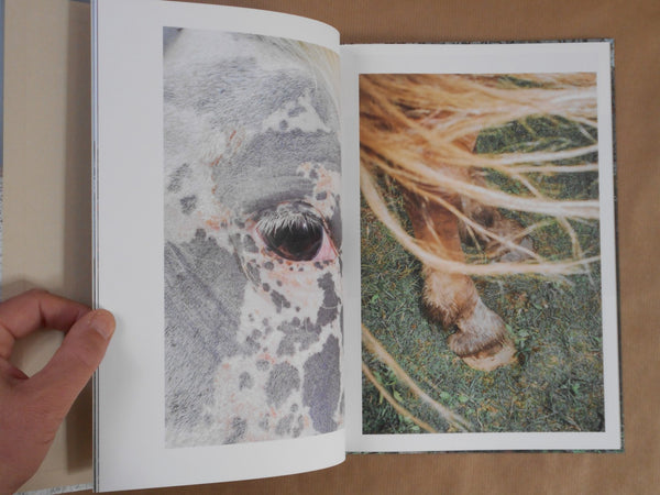 Pneuma | Ayaka Endo | Roshin books 2026