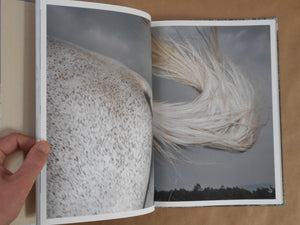 Pneuma | Ayaka Endo | Roshin books 2026