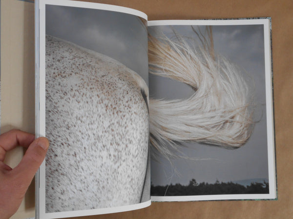 Pneuma | Ayaka Endo | Roshin books 2026
