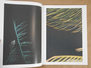 what i know | Ittetsu Matsuoka | Therme books 2023