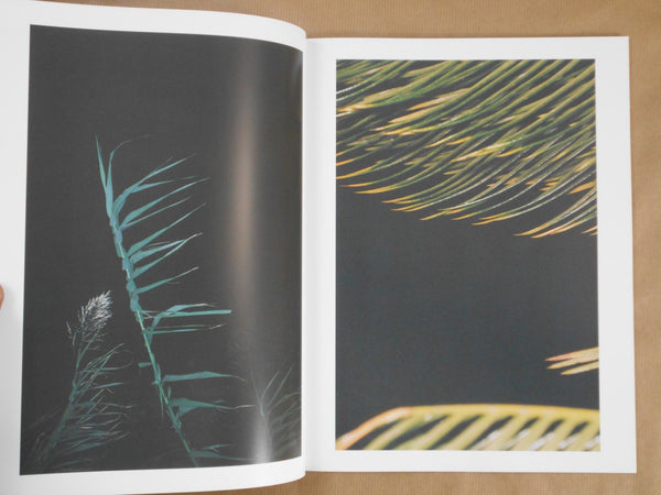 what i know | Ittetsu Matsuoka | Therme books 2023