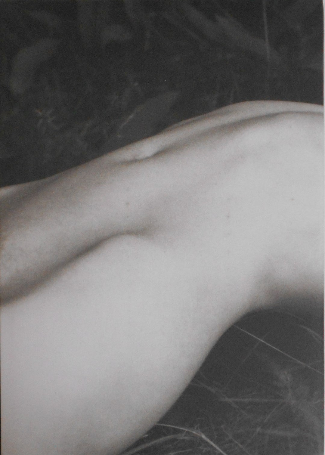 ELV | Massimo Leardini | Stanley Barker 2020