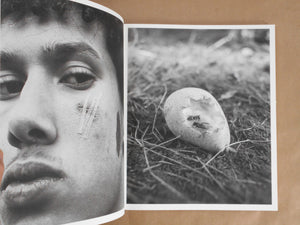 Mixedness is my Mythology | Farren van Wyk | Fw:books 2026