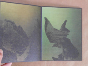 torikumo | Haruka Fujita | HeHe Press 2025 [SECOND PRINTING] [SIGNED]
