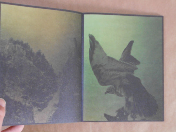 torikumo | Haruka Fujita | HeHe Press 2025 [SECOND PRINTING] [SIGNED]