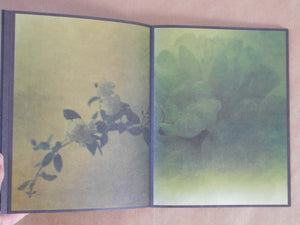torikumo | Haruka Fujita | HeHe Press 2025 [SECOND PRINTING] [SIGNED]