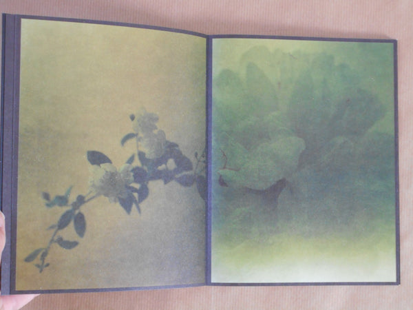 torikumo | Haruka Fujita | HeHe Press 2025 [SECOND PRINTING] [SIGNED]