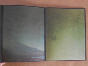 torikumo | Haruka Fujita | HeHe Press 2025 [SECOND PRINTING] [SIGNED]