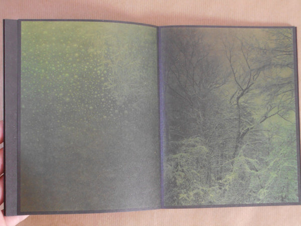 torikumo | Haruka Fujita | HeHe Press 2025 [SECOND PRINTING] [SIGNED]