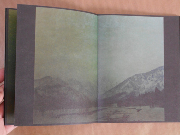 torikumo | Haruka Fujita | HeHe Press 2025 [SECOND PRINTING] [SIGNED]
