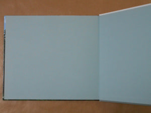 Behind the blue | Takeshi Tokitsu | Self Published 2024 [SIGNED]