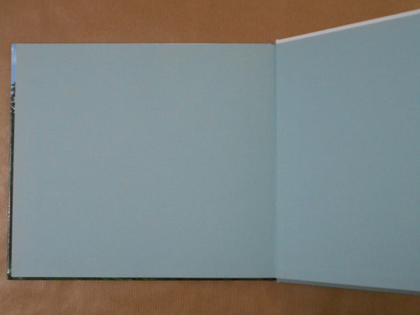 Behind the blue | Takeshi Tokitsu | Self Published 2024 [SIGNED]