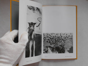 Masahisa Fukase 1961-1991 Retrospective | Masahisa Fukase | Aka Aka 2023 [THIRD PRINTING]