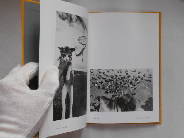 Masahisa Fukase 1961-1991 Retrospective | Masahisa Fukase | Aka Aka 2023 [THIRD PRINTING]