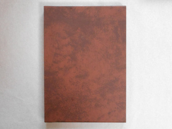 Leslie Turtle, Galphy series vol.15 | Leslie Turtle | NGS 1983