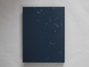 Blue Affair | Kosuke Okahara | The Backyard 2020 [SIGNED]