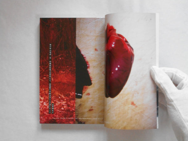 Sha Shin Magazine vol.6 - Ghost | Lieko Shiga, Jun Abe, Erika Yoshino, Shunji Dodo, Issei Suda et. al. | Fugensha 2024