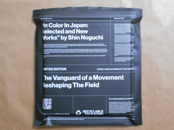 In Color in Japan: selected and new works | Shin Noguchi | Eyeshot 2024