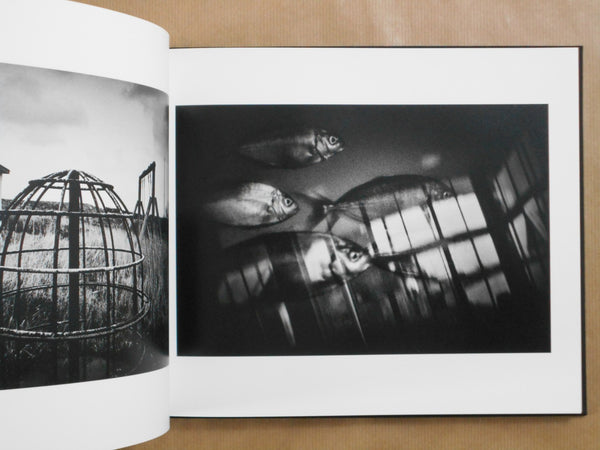 Tales of the Islands | Yasuhiro Ogawa | Photo Editions 2026 [SIGNED]