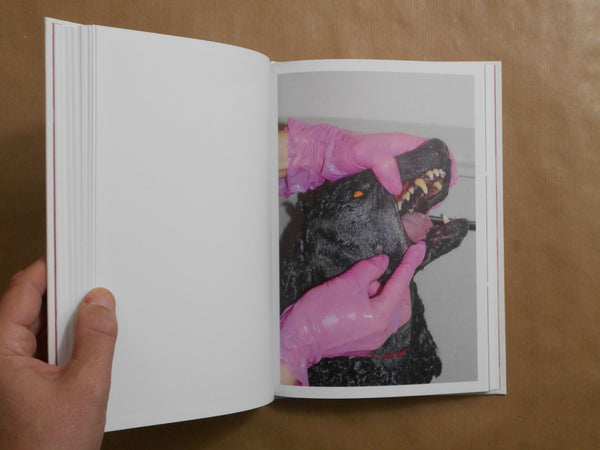 Gut Feeling | Kristina Rozhkova | VOID 2026
