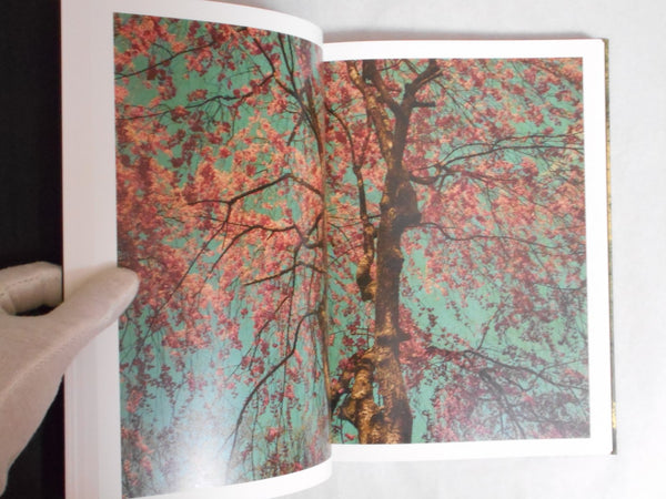 On listening to trees | Albarran Cabrera | Atelier EXB 2023