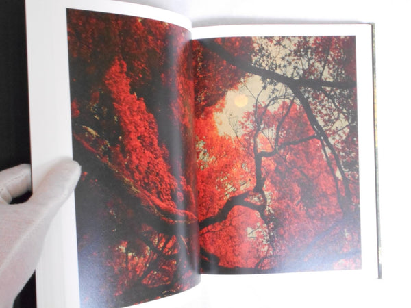 On listening to trees | Albarran Cabrera | Atelier EXB 2023