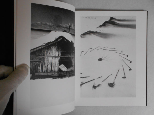 Solitude standing | Ichiro Kojima | Roshin books 2024