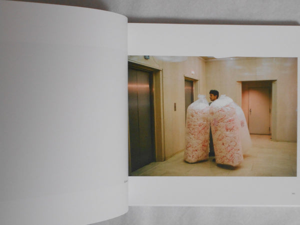 In Color in Japan: selected and new works | Shin Noguchi | Eyeshot 2024