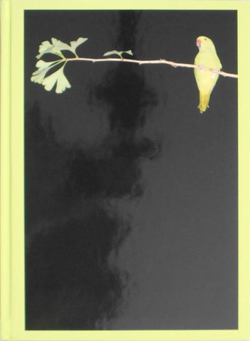 Tokyo Parrots | Yoshinori Mizutani | Amana 2014