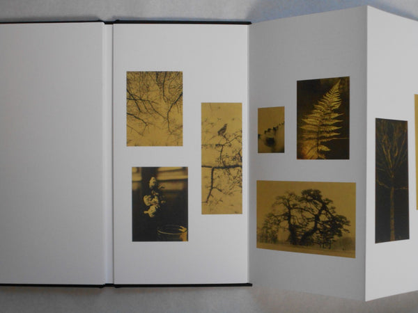 Glanage | Naohiro Ninomiya | the(M) Editions, Ibasho