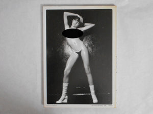 The Best Nudes vol. 6 | Jaques Boulboulon, Otto Weisser, Paolo Perniciano | Haga Shoten 1980