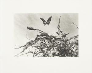 Koji Onaka Slow Boat - Collotype portfolio | Koji Onaka | Benrido 2024 [SIGNED]