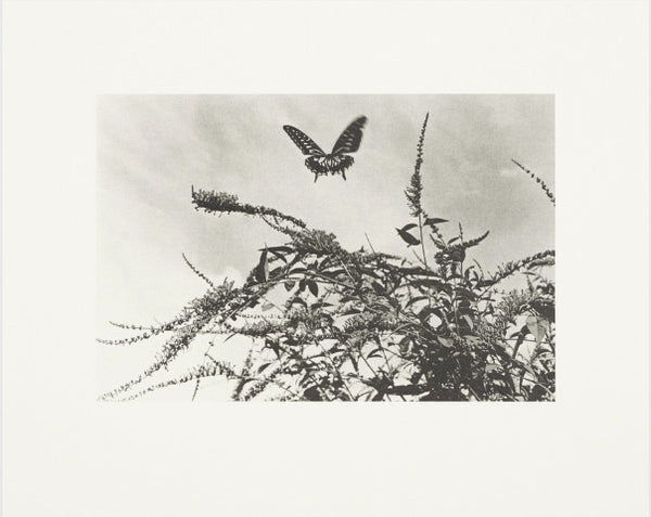 Koji Onaka Slow Boat - Collotype portfolio | Koji Onaka | Benrido 2024 [SIGNED]