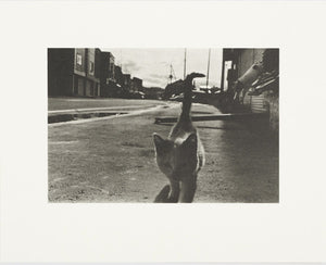 Koji Onaka Slow Boat - Collotype portfolio | Koji Onaka | Benrido 2024 [SIGNED]