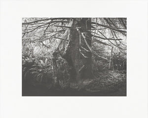 Low Tide - Collotype portfolio | Ron Jude | Benrido 2025