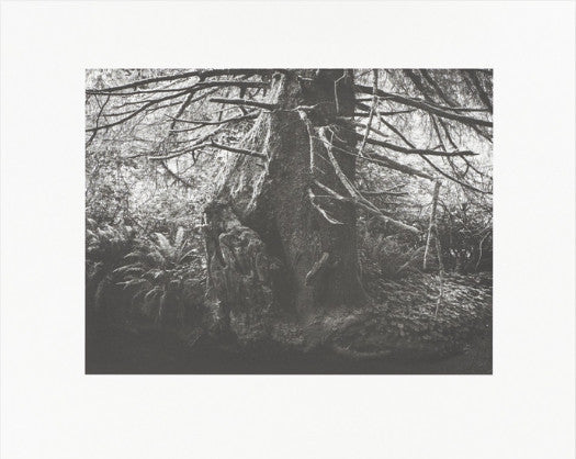 Low Tide - Collotype portfolio | Ron Jude | Benrido 2025