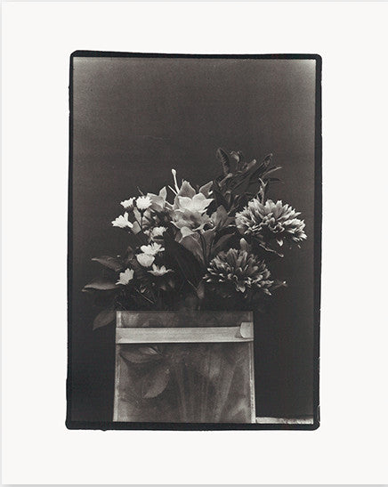 Sakiko Nomura Träumerei - Collotype Portfolio | Sakiko Nomura | Benrido 2024