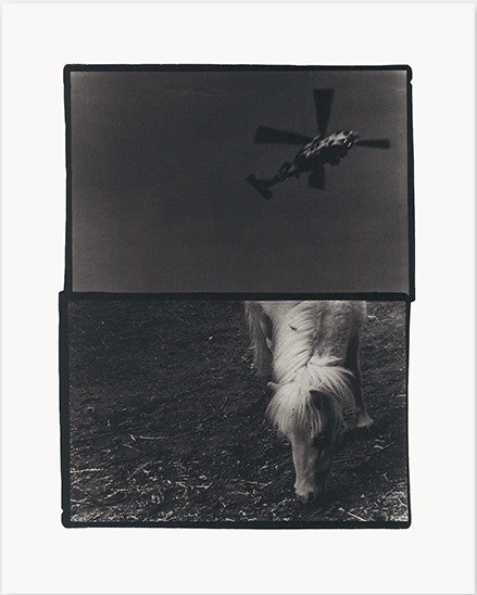 Sakiko Nomura Träumerei - Collotype Portfolio | Sakiko Nomura | Benrido 2024