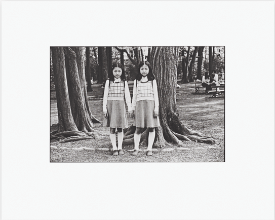 Shigeo Gocho Selected Works - Collotype Portfolio | Shigeo Gocho | Benrido 2022