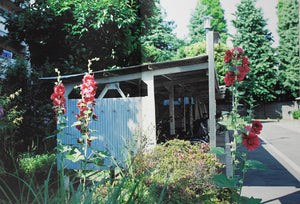 Ukima | Hikaru Honda | Zen foto gallery 2025